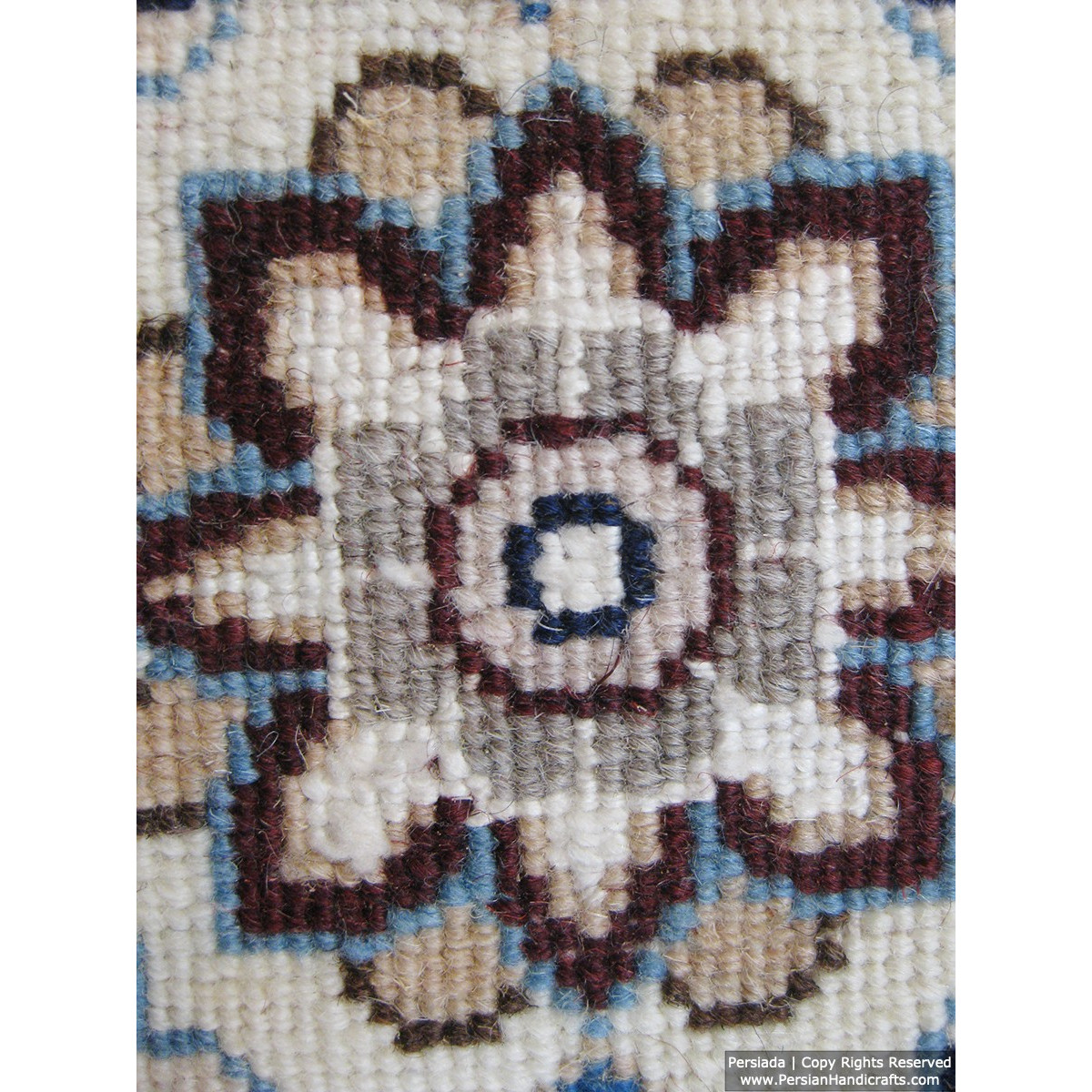 Medallion Design Wool & Cotton Naein Persian Rug  -  RN5011-Persian Handicrafts