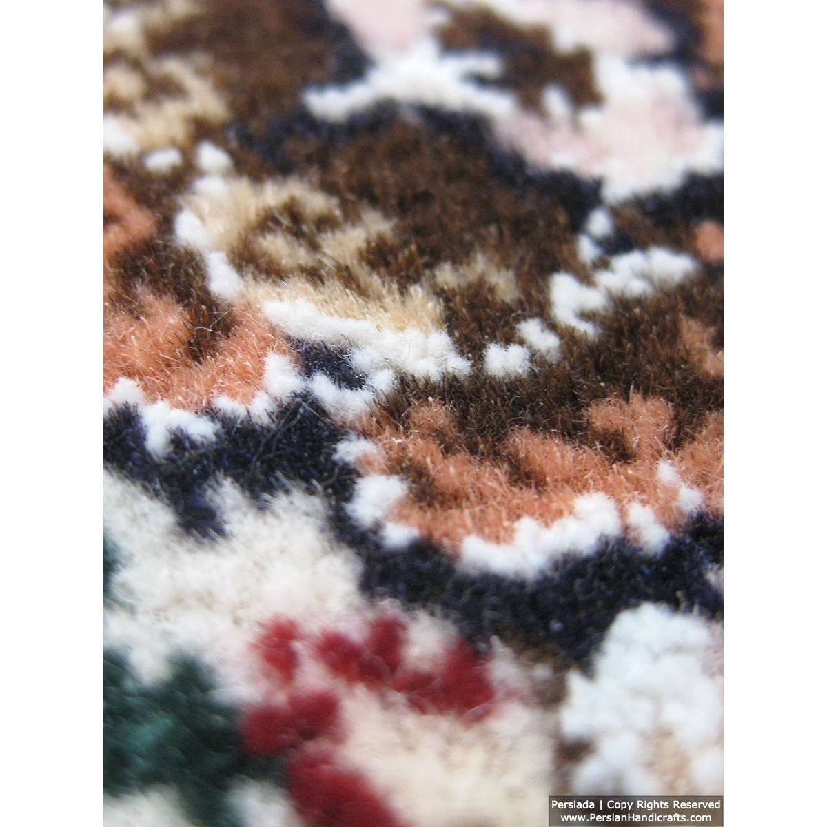 Medallion Design Wool & Cotton Naein Persian Rug  -  RN5012-Persian Handicrafts