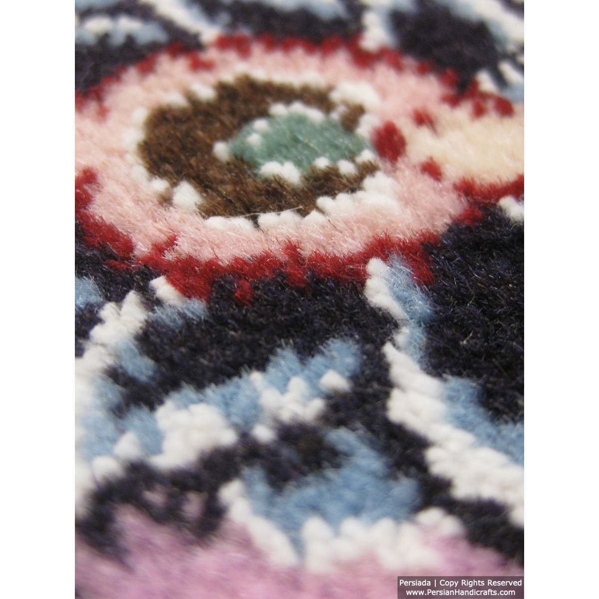 Medallion Design Wool & Cotton Naein Persian Rug  -  RN5012-Persian Handicrafts