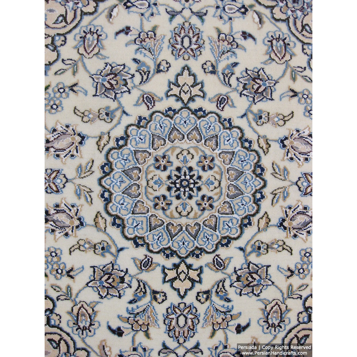 Medallion Design Wool & Cotton Naein Persian Rug  -  RN5013-Persian Handicrafts