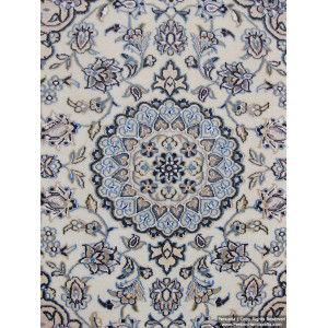 Medallion Design Wool & Cotton Naein Persian Rug  -  RN5013-Persian Handicrafts