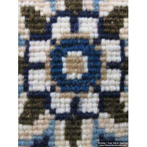 Medallion Design Wool & Cotton Naein Persian Rug  -  RN5013-Persian Handicrafts