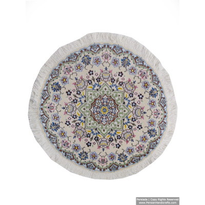 Medallion Design Wool & Cotton Naein Persian Rug  -  RN5014