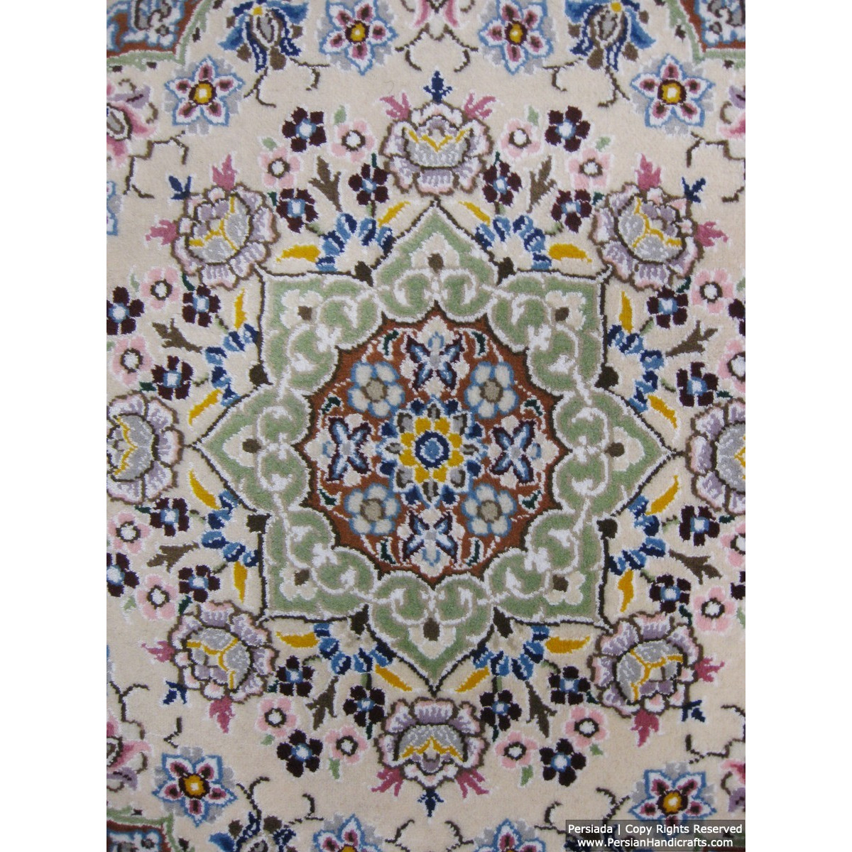 Medallion Design Wool & Cotton Naein Persian Rug  -  RN5014-Persian Handicrafts