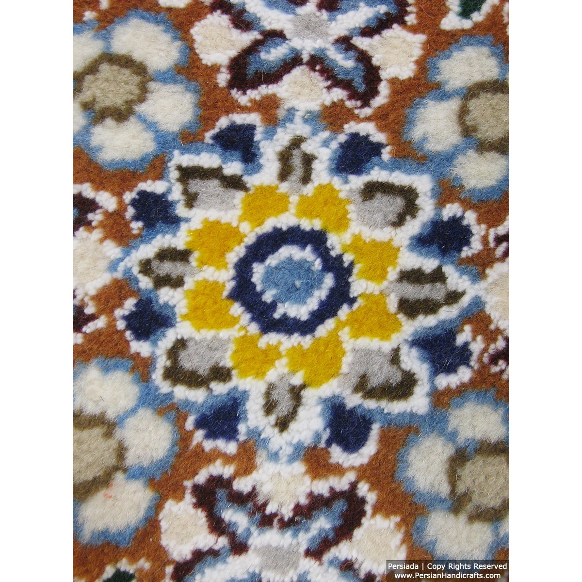 Medallion Design Wool & Cotton Naein Persian Rug  -  RN5014-Persian Handicrafts