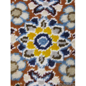 Medallion Design Wool & Cotton Naein Persian Rug  -  RN5014-Persian Handicrafts