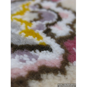 Medallion Design Wool & Cotton Naein Persian Rug  -  RN5014-Persian Handicrafts