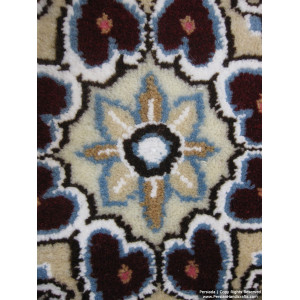 Medallion Design Wool & Cotton Naein Persian Rug  -  RN5015-Persian Handicrafts